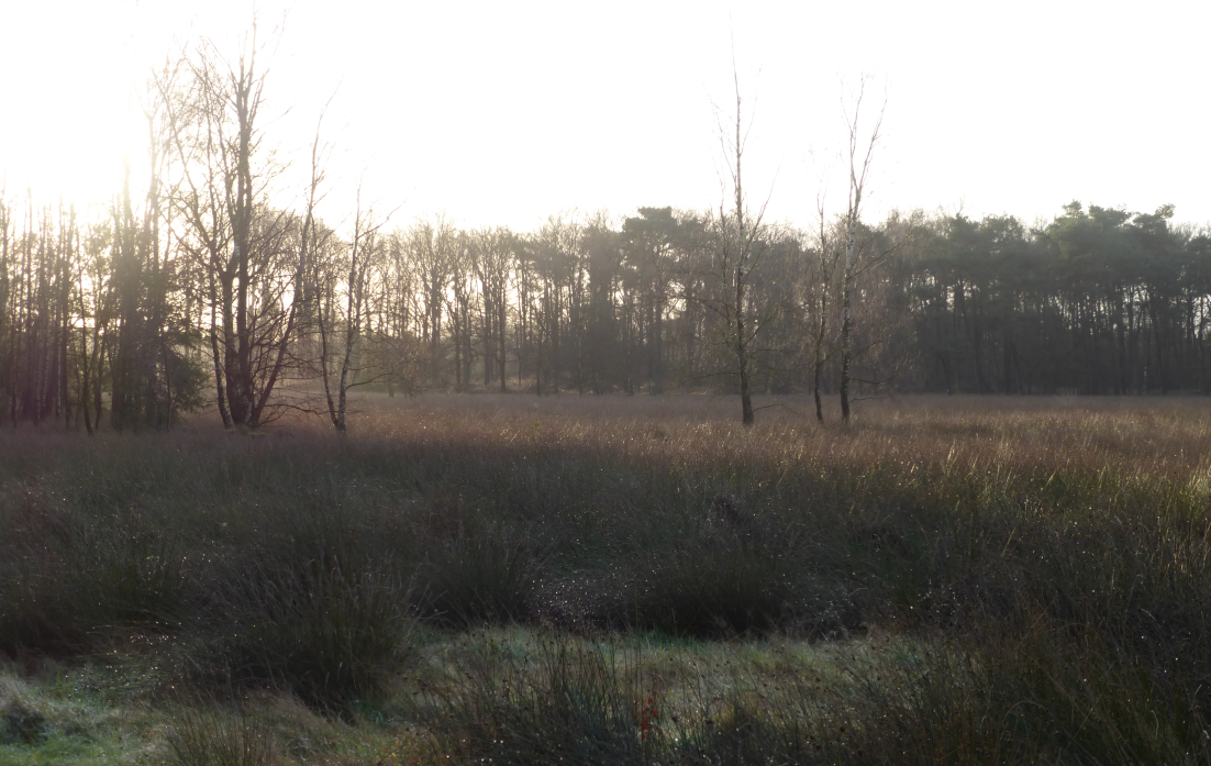 20151211 Cursus vuur, Omgeving