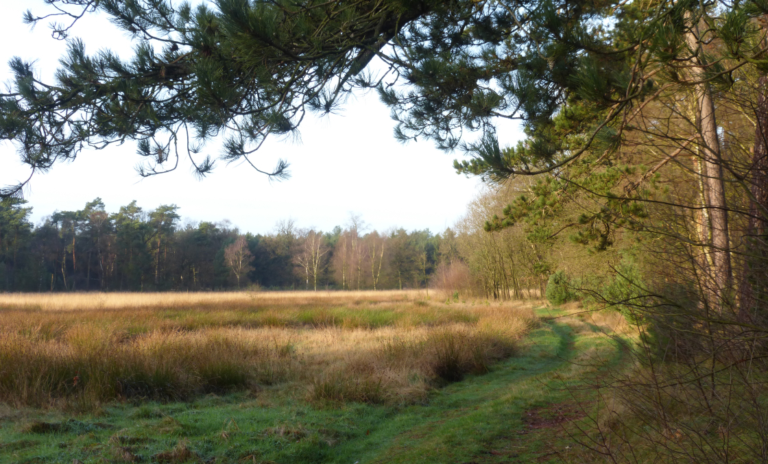 20151211 Cursus vuur, Omgeving