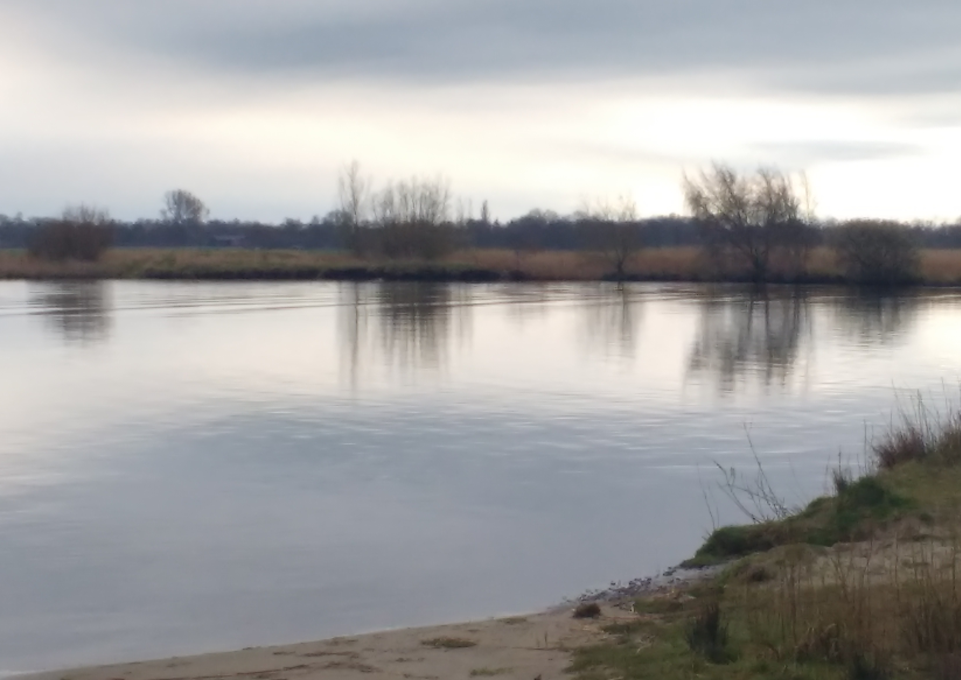 Zwemmen 10 april 2016