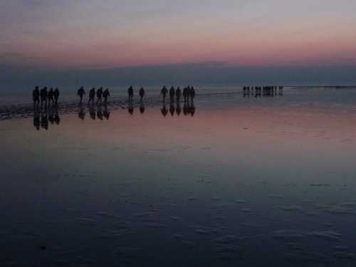 Wadlopers in de ochtendzon