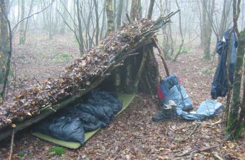 Mijn leento ´s ochtends in de nevel