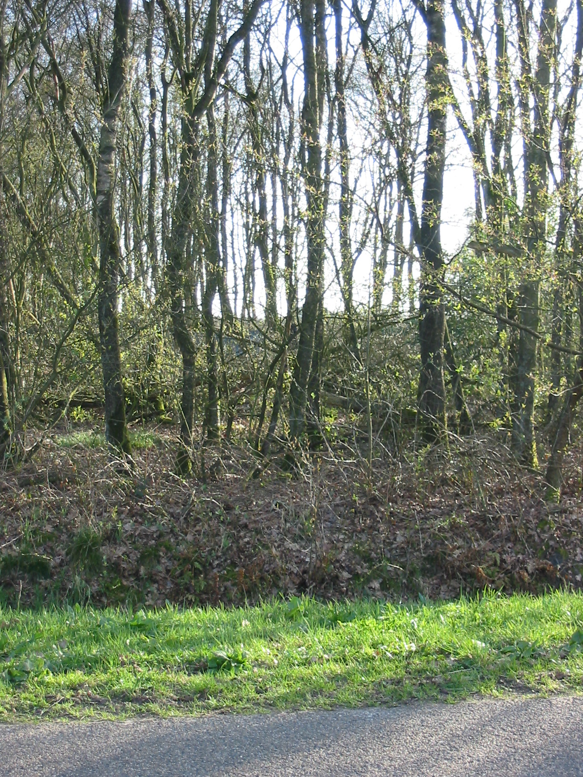 Tarp onzichtbaar vanaf de weg