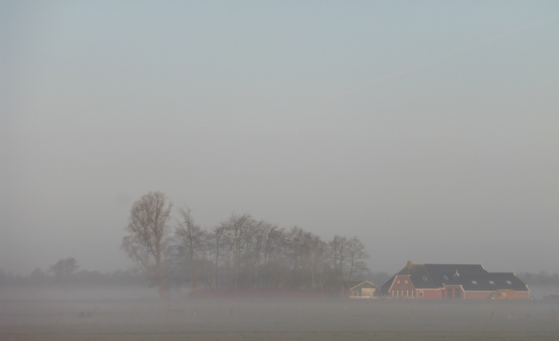 Boerderij in de mist